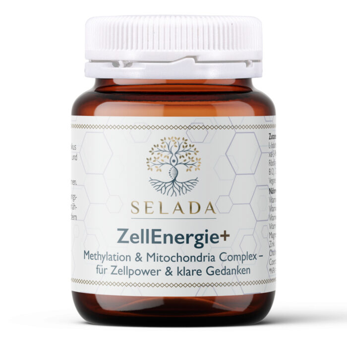 Methylation & Mitochondria Complex